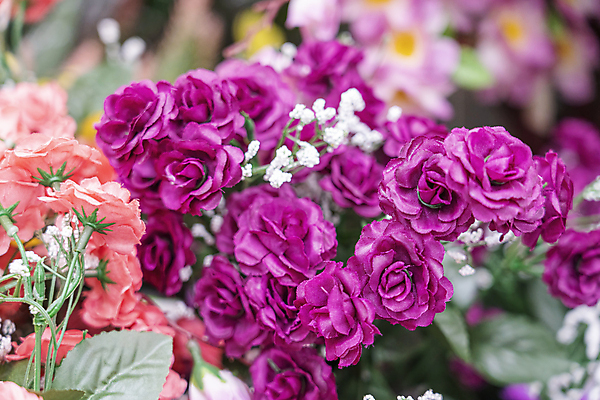 포토 JPG 해외이미지 식물 디자인 꽃잎 꽃 분홍색 꽃다발 결혼 백그라운드 꽃무늬 패턴 자연 벽지 추상 발렌타인데이 선물 사랑 미술 사람없음 장식 빨간색 초록색 컬러풀 뷰티 장미 정원 벚꽃 흰색 축하 신선 생일 개화 다발 배열 질감 내추럴 거짓 인공 해외포토 기념일 감정 컬러 컨셉 무늬 데이이벤트 문화예술 이벤트 생태계 파일형식 이미지허브