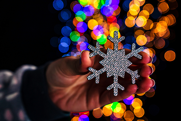 포토 JPG 해외이미지 나무 전통 계절 리본 백그라운드 크리스마스장식 크리스마스 겨울 패턴 공 휴가 새로움 선물 사람없음 야외 장식 빨간색 초록색 빛 노란색 축제 장식볼 나뭇가지 축하 인사 소나무 황금 클래식 소프트포커스 12월 연도 보케 빛망울 크리스마스배경 해외포토 식물 기념일 컬러 컨셉 무늬 촬영기법 예절 날짜 파일형식 이미지허브