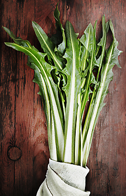 포토 JPG 해외이미지 스튜디오촬영 식물 계절 음식 백그라운드 잎 농업 다이어트 채소 재료 자연 검은배경 건강 요리 사람없음 초록색 샐러드 신선 다발 유기농 날것 건강식 고립 생식 정물화 채식주의자 치커리 카피스페이스 비건음식 해외포토 웰빙 산업 컬러 실내 검은색 공백 그림 생태계 채식 파일형식 비건 이미지허브