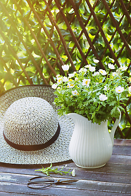 포토 JPG 해외이미지 식물 계절 공원 꽃잎 꽃 꽃다발 백그라운드 꽃무늬 밭 자연 탁자 휴가 사람없음 장식 초록색 빛 컬러풀 태양 노란색 마을 정원 활발 벚꽃 시골 신선 신용카드 개화 다발 배열 데이지 섞기 해외포토 자연요소 공공시설 컬러 가구 컨셉 무늬 농업 금융 생태계 파일형식 이미지허브