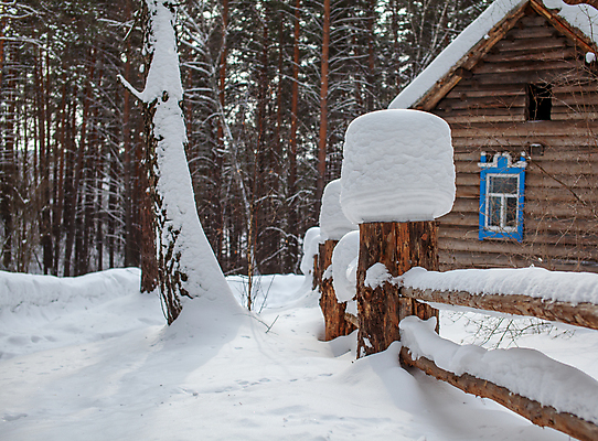 포토 JPG 해외이미지 나무 디자인 계절 공원 백그라운드 크리스마스 겨울 자연 날씨 주택 사람없음 야외 목재 장식 파란색 빛 울타리 뷰티 농장 갈색 환경 냉동 얼음 침묵 추위 흰색 죽음 소나무 눈송이 숲 큼 시원함 관목 질감 서리 장면 부드러움 1월 내추럴 옛날 제설기 캡모자 폭설 해외포토 자연요소 식물 모자_잡화 공공시설 기념일 컬러 농업 재료 눈_날씨 건물 담장 소리 감각 날짜 크기 자연재해 생태계 제설 파일형식 이미지허브