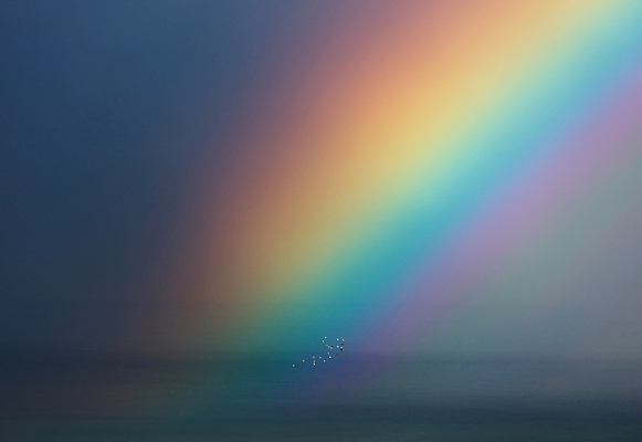 포토 JPG 해외이미지 행복 바다 백그라운드 무지개 오렌지 자연 하늘 날씨 파노라마 풍경 사람없음 야외 빨간색 초록색 물 파란색 컬러풀 햇빛 태양 뷰티 노란색 맑음 보라색 희망 놀람 즐거움 긍정 장면 스카이라인 내추럴 넘어짐 웅장함 현상 해외포토 자연요소 감정 컬러 컨셉 과일 모션 촬영기법 표정 생태계 파일형식 이미지허브