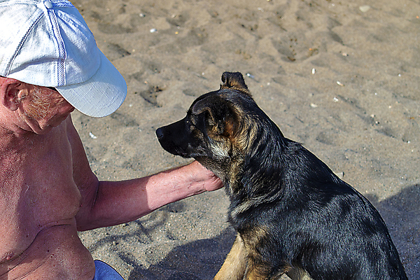 포토 JPG 해외이미지 동물 백인 라이프스타일 옷 공원 할아버지 남자 운동화 자연 휴식 함께함 성인 사람없음 야외 반려동물 갈색 회색 양치기 닫기 개 강아지 숲 은퇴 손목시계 보여주기 테라피 송곳니 기르기 방법 옛날 유래 노화 쓰다듬기 해외포토 서양인 직업 공공시설 노년 시계 컬러 신발 컨셉 장신구 포유류 모션 사람 생활 뷰티 치아 생태계 돌봄 파일형식 이미지허브