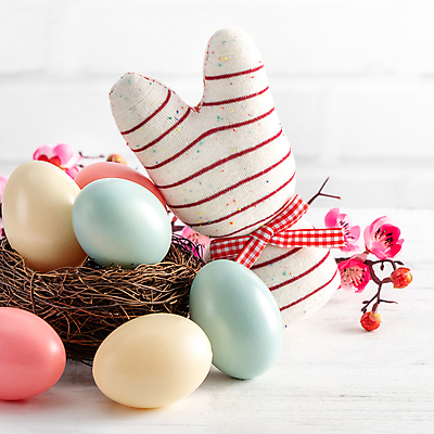 포토 JPG 해외이미지 꽃 백그라운드 사람없음 장난감 봄 토끼 둥지 4월 흰배경 부활절계란 토끼인형 달걀바구니 토끼모양 해외포토 모양 식물 계절 인형 포유류 부활절 반려동물 바구니 계란 흰색 날짜 파일형식 이미지허브