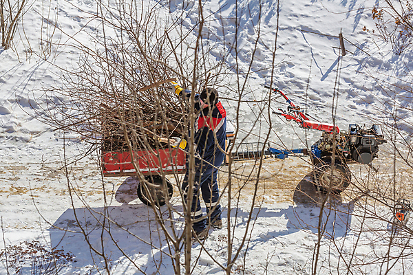 포토 JPG 해외이미지 주간 나무 직업 1 계절 공원 남자 길 백그라운드 유니폼 겨울 자국 자연 노동자 거리 사람 성인 사람없음 야외 빨간색 얼음 기계 장비 추위 흰색 나뭇가지 공구 업무 청소 서리 내추럴 재주꾼 해외포토 자연요소 식물 옷 공공시설 컬러 도구 작업 생태계 파일형식 이미지허브