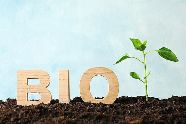 포토 JPG 해외이미지 백그라운드 자연 사람없음 새싹 흙 땅 에코 묘목 해외포토 나무 식물 환경 생태계 파일형식 이미지허브