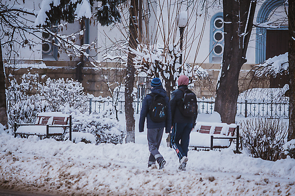 포토 JPG 해외이미지 나무 식물 겨울 벤치 자연 날씨 스키 거리 사람없음 야외 울타리 걷기 점프 냉동 얼음 추위 나뭇가지 바퀴 보행자 서리 타이어 폭풍 눈보라 해외포토 자연요소 계절 의자 모션 겨울스포츠 눈_날씨 담장 생태계 파일형식 이미지허브