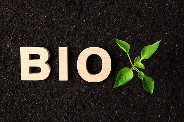 포토 JPG 해외이미지 백그라운드 자연 사람없음 새싹 흙 땅 에코 바이오 해외포토 식물 환경 생태계 파일형식 이미지허브