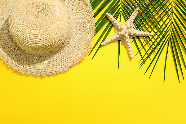 포토 JPG 해외이미지 스튜디오촬영 불가사리 사람없음 하이앵글 오브젝트 밀짚모자 야자수잎 카피스페이스 해외포토 모자_잡화 뷰포인트 잎 극피동물 실내 공백 파일형식 이미지허브 이미지허브