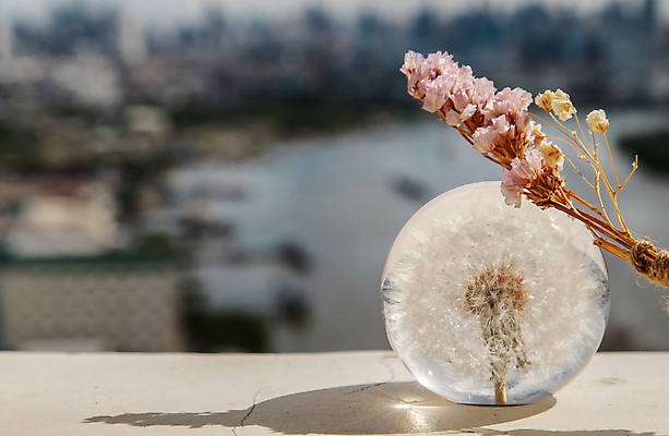 포토 JPG 해외이미지 디자인 유리 사람없음 아웃포커스 장식 크리스탈 민들레홀씨 드라이플라워 해외포토 꽃 재질 촬영기법 민들레 광석 파일형식 이미지허브