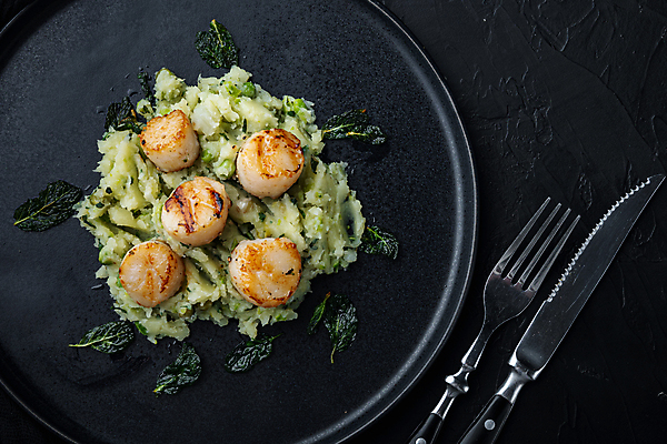 포토 JPG 해외이미지 접시 포크 검은배경 조개 실내 사람없음 나이프 구이 가리비 관자 매시드포테이토 해외포토 식기 음식 백그라운드 어패류 내부 검은색 칼 파일형식 이미지허브