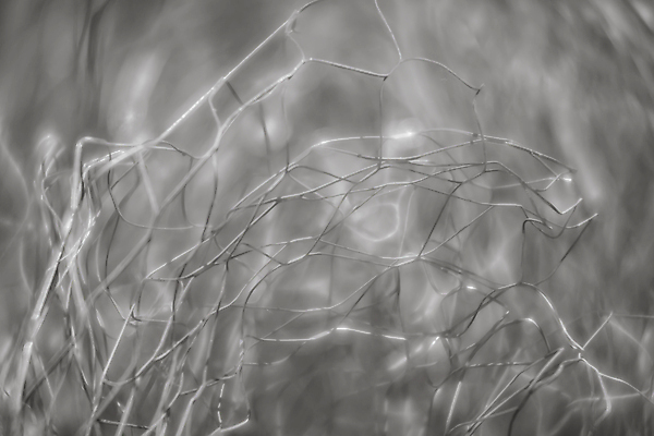 포토 JPG 해외이미지 모양 디자인 선 백그라운드 패턴 벽지 추상 미래 미술 사람없음 장식 빛 뷰티 유행 금속 검은색 웹 어둠 회색 흰색 점 그물 은색 소프트포커스 거미줄 질감 보케 마법 노려봄 블러 해외포토 컬러 컨셉 무늬 인터넷 재질 문화예술 촬영기법 표정 파일형식 이미지허브