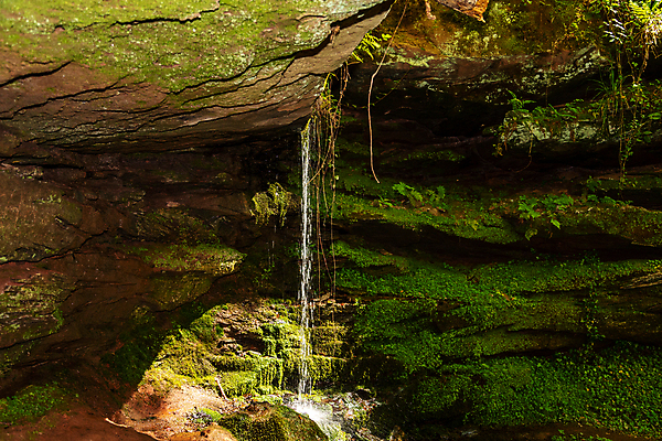 포토 JPG 해외이미지 나무 식물 백그라운드 자국 자연 이끼 풍경 사람없음 야외 초록색 물 여름 골짜기 봄 하이킹 흐름 암석 바위 개울 숲 오솔길 땅 땅바닥 해외포토 자연요소 계절 길 컬러 컨셉 레저 바닥 강 돌_바위 생태계 파일형식 이미지허브
