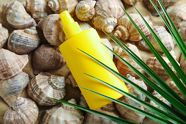 포토 JPG 해외이미지 스튜디오촬영 사람없음 소라 오브젝트 야자수잎 공병 해외포토 잎 어패류 실내 병_담는 파일형식 이미지허브 이미지허브