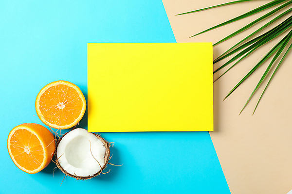 포토 JPG 해외이미지 스튜디오촬영 오렌지 프레임 사람없음 사각형 코코넛 야자수잎 해외포토 도형 잎 과일 실내 파일형식 이미지허브 이미지허브