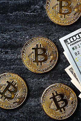 포토 JPG 해외이미지 지폐 검은배경 실내 사람없음 금융 달러 외화 가상화폐 해외포토 백그라운드 돈 내부 경제 검은색 파일형식 이미지허브