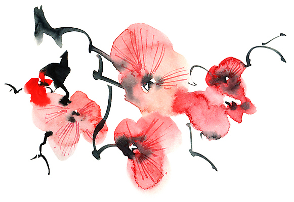 포토 JPG 해외이미지 꽃잎 꽃 줄기 분홍색 일러스트 캘리그라피 붓터치 수채화 수묵화 미술 사람없음 나뭇가지 동양화 번짐 해외일러스트 나무 식물 컬러 문화예술 파일형식 효과 이미지허브