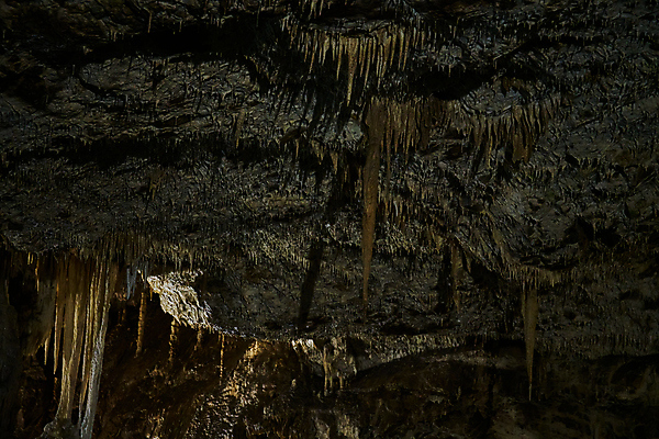 포토 JPG 해외이미지 유럽 여행 자연 휴가 국립공원 미술 사람없음 야외 강 뷰티 골짜기 하이킹 탐험 보트 행운 동굴 발굴 지역 체코 방문 지하 공화국 깊이 석회암 종유석 칼슘 모라비아 해외포토 공원 나라 컨셉 배_교통 레저 문화예술 암석 생태계 파일형식 이미지허브