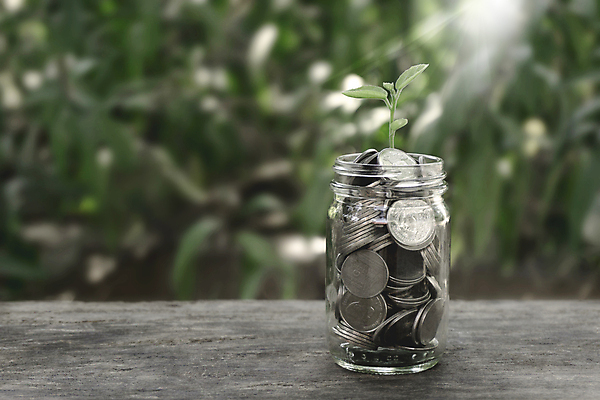 포토 JPG 해외이미지 나무 식물 손 백그라운드 컨셉 잎 돈 비즈니스 자연 유리 탁자 성공 사람없음 목재 초록색 금융 경제 쌓기 동전 저축 성장 항아리 재산 정상 투자 이익 월급 대출 빚 계좌 넣기 돌봄 수입 자금 카운트 헬프 해외포토 컬러 가구 재료 모션 재질 신체부위 도움 도자기 생태계 파일형식 이미지허브