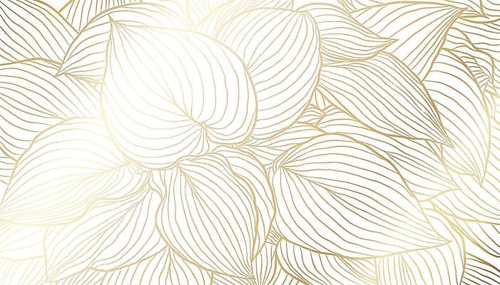 EPS 해외이미지 디자인 배너 포스터 선 결혼 잎 꽃무늬 패턴 일러스트 포장 자연 벽지 추상 미술 그래픽 장식 유행 수확 덮개 흰색 화려 황금 고급 우아함 인쇄 은박지 그림 질감 윤곽 손그림 엘리먼트 포장소품 스타일 해외일러스트 식물 꽃 컬러 컨셉 무늬 농업 문화예술 이벤트 뚜껑 오브젝트 생태계 포장재료 파일형식 벡터 이미지허브