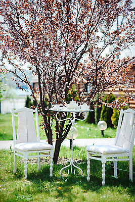 포토 JPG 해외이미지 백인 라이프스타일 여자 커피 음료 휴식 실내 사람 앉기 사람없음 내부 컵 찻잔 주말 안락 해외포토 서양인 식기 컨셉 모션 잔 생활 파일형식 이미지허브