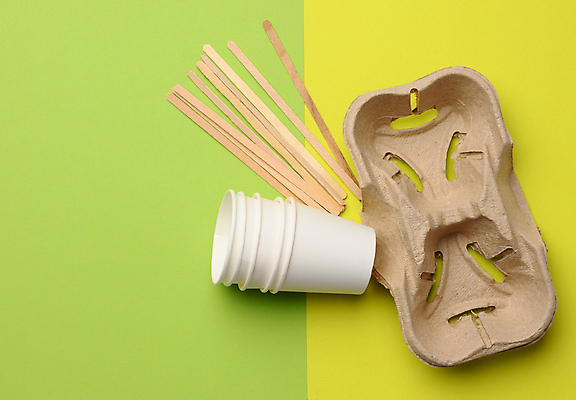 포토 JPG 해외이미지 실내 사람없음 자연보호 종이컵 일회용 오브젝트 에코 나무막대 컵홀더 초록배경 제로웨이스트 해외포토 백그라운드 자연 내부 컵 초록색 환경 그린캠페인 막대 보호 사회이슈 홀더 파일형식 이미지허브