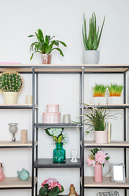 포토 JPG 해외이미지 스튜디오촬영 디자인 벽 분홍색 가구 백그라운드 컨셉 가정 선반 아파트 주택 실내 사람없음 내부 장식 빛 꽃병 방 도자기 편안함 심플 스칸디나비아 스타일 미니멀리스트 안락 해외포토 꽃 컬러 생활용품 건물 감각 파일형식 이미지허브