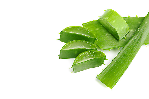 포토 JPG 해외이미지 식물 조각 백그라운드 잎 자연 선인장 건강 사람없음 치료 여름 뷰티 약 스파 주스 화장품 촉촉함 신선 씻기 정상 허브 피부 크림 만들기 내추럴 고립 돌봄 보습 생태학 알로에 개조 해외포토 계절 교육 음료 의학 모션 신체부위 청결 젖음 생태계 파일형식 이미지허브