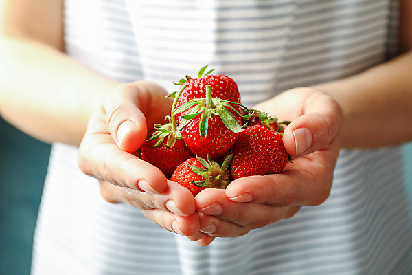포토 JPG 해외이미지 손 딸기 들기 신체부위 신선 해외포토 과일 모션 사람 파일형식 이미지허브