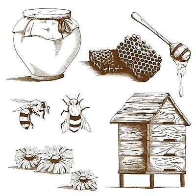 EPS 해외이미지 디자인 꽃 일러스트 사람없음 항아리 플랫 스케치 벌 꿀 벌집 꿀단지 밀랍 양봉 허니디퍼 해외일러스트 식물 곤충 미술 도구 도자기 파일형식 벡터 이미지허브
