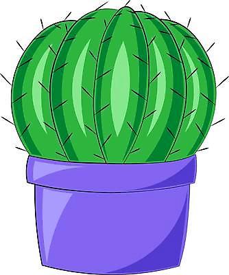 EPS 해외이미지 식물 손 디자인 꽃 화분 화초 어린이 스티커 꽃무늬 일러스트 포장 자연 멕시코 선인장 주택 미술 그래픽 장식 초록색 여름 상자 디지털 정원 보라색 공책 벚꽃 신용카드 가시 냄비 인쇄 만화 싱글 그림 심플 고립 서쪽 엘리먼트 이국적 해외일러스트 계절 컬러 북아메리카 무늬 문화예술 문구용품 사람 건물 신체부위 금융 솥 방향 생태계 파일형식 벡터 이미지허브