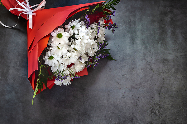 포토 JPG 해외이미지 식물 꽃잎 꽃 행복 분홍색 꽃다발 백그라운드 꽃무늬 자연 휴가 부활절 국화 발렌타인데이 선물 사람없음 가로 빨간색 초록색 여름 컬러풀 뷰티 장미 노란색 정원 보라색 어둠 봄 흰색 축하 생일 오브젝트 주기 많음 카피스페이스 어머니의날 해외포토 계절 기념일 감정 컬러 컨셉 무늬 모션 데이이벤트 공백 생태계 미국문화 파일형식 이미지허브