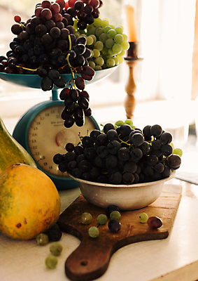 포토 JPG 해외이미지 나무 식물 템플릿 디자인 계절 음식 백그라운드 농업 채소 오렌지 과일 재료 텍스트 자연 탁자 호박 포도 수박 건강 저울 사람없음 목재 장식 빨간색 파란색 빛 태양 노란색 우주 저녁식사 할로윈 수확 흰색 시골 신선 사과 멜론 9월 유기농 아몬드 추수감사절 10월 숙성 정물화 해외포토 자연요소 웰빙 산업 기독교 컬러 가구 식사 견과류 날짜 그림 생태계 파일형식 이미지허브