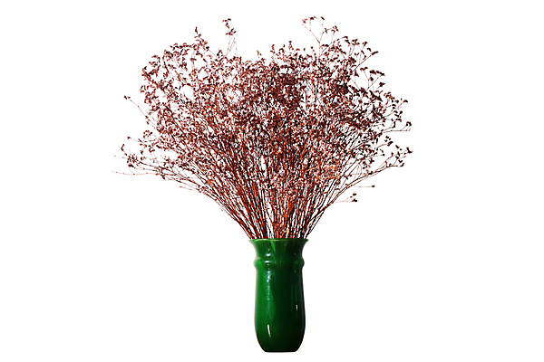 포토 JPG 해외이미지 식물 꽃 클리핑패스 결혼 백그라운드 꽃무늬 추상 오리 건조 미술 사람없음 장식 파란색 빛 수확 흰색 나뭇가지 축하 우아함 소프트포커스 다발 질감 복고 취급주의 파스텔톤 카피스페이스 해외포토 나무 컬러 컨셉 무늬 농업 조류 문화예술 촬영기법 경고 이벤트 공백 파일형식 이미지허브