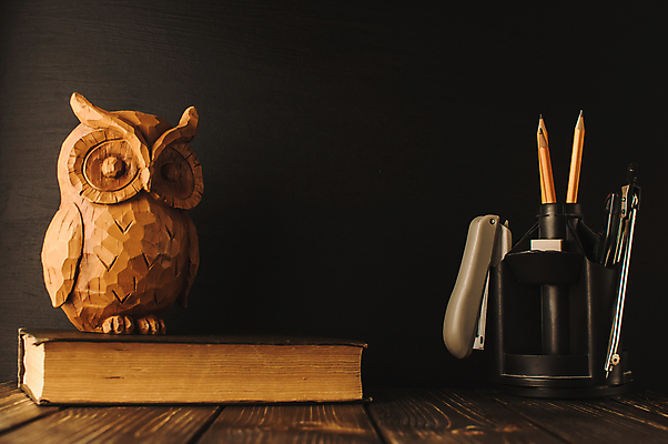 포토 JPG 해외이미지 학생 디자인 교육 어린이 남학생 꽃다발 백그라운드 컨셉 장신구 텍스트 교실 학교 휴가 문구용품 사람없음 빨간색 스터디 컬러풀 연필 장미 갈색 검은색 공책 칠판 흰색 9월 스테이플러 책상 지우개 분필 부엉이 컴파스 카피스페이스 해외포토 남자 꽃 컬러 가구 조류 학용품 사람 학습 필기구 사무용품 공백 날짜 오브젝트 초크 파일형식 이미지허브