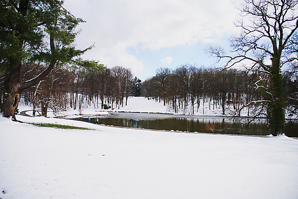 포토 JPG 해외이미지 나무 계절 공원 유럽 호수 여행 결혼 백그라운드 겨울 골프 자연 하늘 휴가 휴식 풍경 사람없음 야외 목재 물 파란색 반사 환경 맑음 냉동 얼음 침묵 추위 흰색 연못 숲 강의 서리 체코 프라하 내추럴 해외포토 자연요소 식물 공공시설 나라 컬러 컨셉 재료 날씨 이벤트 구기 소리 생태계 파일형식 이미지허브