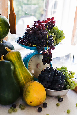 포토 JPG 해외이미지 나무 식물 템플릿 디자인 계절 음식 백그라운드 단풍 농업 채소 오렌지 과일 재료 텍스트 자연 탁자 호박 포도 수박 건강 저울 사람없음 목재 장식 빨간색 파란색 빛 태양 노란색 우주 저녁식사 할로윈 수확 흰색 시골 신선 사과 멜론 9월 유기농 아몬드 추수감사절 10월 숙성 정물화 해외포토 자연요소 웰빙 산업 기독교 컬러 가구 잎 식사 견과류 날짜 그림 생태계 파일형식 이미지허브