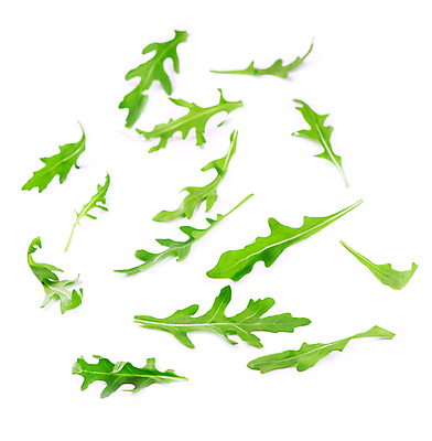 포토 JPG 해외이미지 잎 채소 사람없음 초록색 허브 루꼴라 해외포토 식물 컬러 파일형식 이미지허브