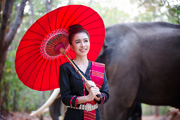 포토 JPG 해외이미지 나무 동물 전통 라이프스타일 실루엣 아시아 종교 문화 야생동물 여행 밭 농업 포유류 태국 자연 아침 코끼리 그림자 한명 사람 동양인 농장 마을 일출 환경 일몰 시골 농부 숲 신성 상아 북쪽 전국 해외포토 주간 식물 직업 1 나라 산업 촬영기법 인종 생활 노을 방향 생태계 파일형식 이미지허브