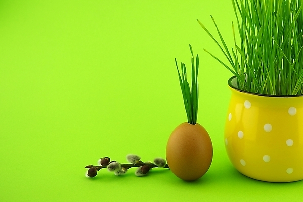 포토 JPG 해외이미지 전통 디자인 계절 꽃 행복 종교 백그라운드 컨셉 꽃무늬 자연 추상 휴가 부활절 기념 선물 이벤트 사람없음 장식 컵 초록색 컬러풀 노란색 계란 축제 고양이 봄 수확 성장 벚꽃 흰색 나뭇가지 축하 인사 신용카드 4월 밀 버드나무 심볼 내추럴 묘목 해외포토 나무 식물 식기 기념일 감정 컬러 무늬 농업 포유류 곡류 금융 반려동물 알 예절 날짜 생태계 파일형식 이미지허브