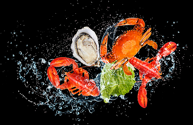 포토 JPG 해외이미지 음료 음식 백그라운드 자연 조개 건강 갑각류 사람없음 초록색 물 게 굴 흰색 신선 액체 맛 떨어짐 바닷가재 해산물 유기농 고립 숙성 해외포토 자연요소 동물 웰빙 컬러 컨셉 어패류 가재 생태계 파일형식 이미지허브