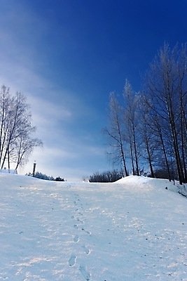 포토 JPG 해외이미지 나무 계절 여행 백그라운드 크리스마스 겨울 자연 하늘 지붕 동화 날씨 휴가 스키 산 풍경 경사 사람없음 야외 파란색 빛 햇빛 태양 뷰티 환경 맑음 냉동 얼음 추위 덮개 흰색 신선 숲 발자국 언덕 서리 전나무 내추럴 눈내림 가문비나무 수평선 해외포토 자연요소 식물 기념일 컬러 자국 겨울스포츠 눈_날씨 뚜껑 생태계 파일형식 이미지허브