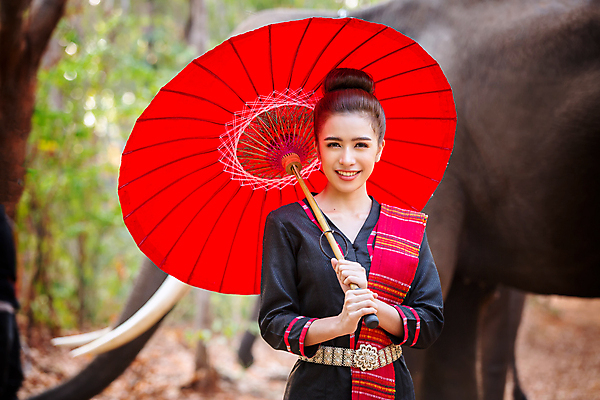 포토 JPG 해외이미지 나무 동물 전통 라이프스타일 실루엣 아시아 종교 문화 야생동물 여행 밭 농업 포유류 태국 자연 아침 코끼리 그림자 한명 사람 동양인 풍경 여름 농장 마을 일출 환경 일몰 시골 농부 숲 신성 상아 북쪽 전국 해외포토 주간 식물 직업 1 계절 나라 산업 촬영기법 인종 생활 노을 방향 생태계 파일형식 이미지허브