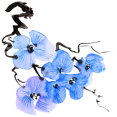 포토 JPG 해외이미지 꽃잎 꽃 일러스트 캘리그라피 붓터치 수묵화 미술 사람없음 파란색 나뭇가지 동양화 번짐 해외일러스트 나무 식물 컬러 문화예술 파일형식 효과 이미지허브