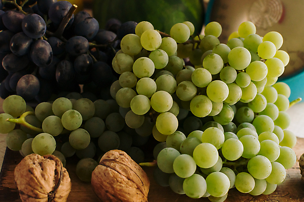 포토 JPG 해외이미지 나무 식물 템플릿 디자인 계절 음식 백그라운드 단풍 농업 채소 오렌지 과일 재료 텍스트 자연 탁자 포도 수박 건강 저울 사람없음 목재 장식 빨간색 파란색 빛 태양 우주 저녁식사 할로윈 수확 가을 흰색 시골 신선 사과 멜론 9월 유기농 추수감사절 10월 숙성 정물화 해외포토 자연요소 웰빙 산업 기독교 컬러 가구 잎 식사 날짜 그림 생태계 파일형식 이미지허브