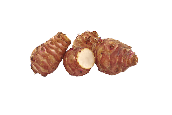 포토 JPG 해외이미지 식물 지구 음식 백그라운드 다이어트 채소 재료 자연 해바라기 감자 건강 사람없음 갈색 침묵 수확 흰색 신선 그룹 닫기 자르기 유기농 날것 뿌리 슛 내추럴 고립 아티초크 예루살렘 해외포토 웰빙 꽃 컬러 농업 모션 소리 생태계 이스라엘 파일형식 이미지허브