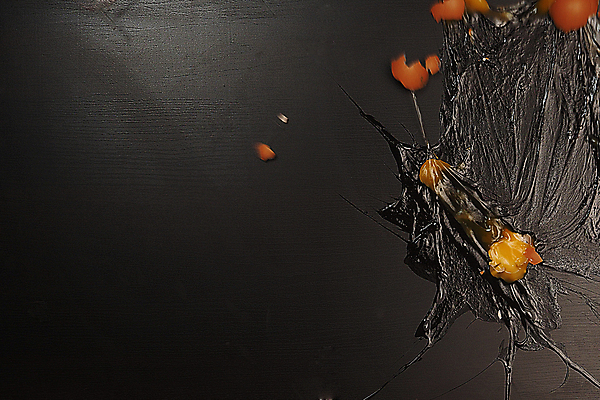 포토 JPG 해외이미지 음식 검은배경 요리 사람없음 계란 껍질 질감 날것 노른자 깨짐 단백질 해외포토 백그라운드 컨셉 알 검은색 영양소 파일형식 이미지허브