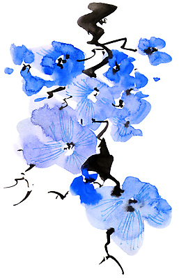 포토 JPG 해외이미지 꽃잎 꽃 일러스트 캘리그라피 붓터치 수묵화 미술 사람없음 파란색 나뭇가지 동양화 번짐 해외일러스트 나무 식물 컬러 문화예술 파일형식 효과 이미지허브