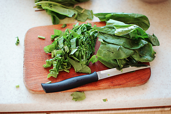 포토 JPG 해외이미지 식물 라이프스타일 접시 음식 백그라운드 잎 다이어트 채소 재료 건강 요리 사람없음 초록색 농장 저녁식사 샐러드 흰색 신선 상추 친환경 유기농 질감 채식 날것 시금치 내추럴 점심식사 채식주의자 비건 해외포토 식기 웰빙 컬러 농업 생활 환경 식사 파일형식 이미지허브