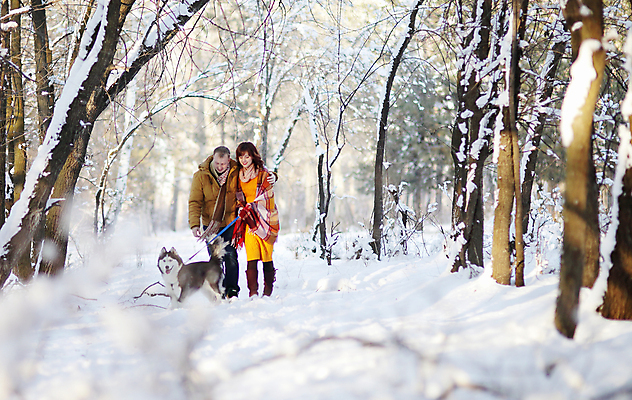 포토 JPG 해외이미지 나무 동물 백인 커플 공원 남자 행복 겨울 가족 자연 놀이 함께함 사랑 미소 성인 야외 두명 반려동물 걷기 우정 재킷 추위 개 숲 스웨터 해외포토 서양인 식물 계절 공공시설 감정 컨셉 상의 포유류 관계 모션 표정 사람 친구 외투 생태계 파일형식 이미지허브